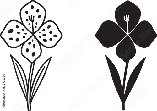 Set of two stylized iris flower illustrations, one outline drawing with dots and one solid black silhouette, isolated on icon on