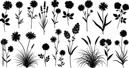 Black silhouette vector illustration set of wild meadow grasses, decorative floral border, and garden flowers for natural scenery, landscape design, and summer field elements.