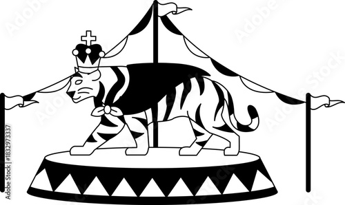 black and white A tiger is walking in a circus