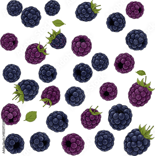 Create a kinds of deferent Fresh ripe juicy blackberries are falling freely, creating a vibrant display image is perfect for any project. Vector art with white background..