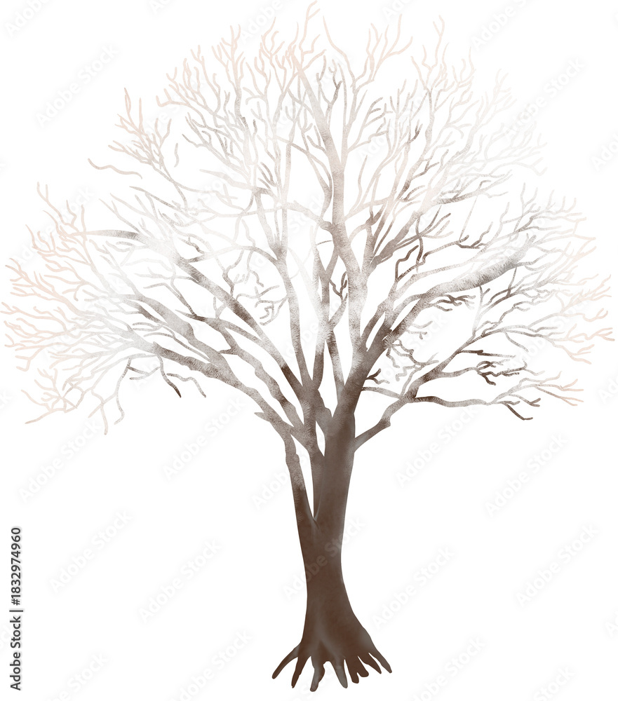 Fototapeta premium tree silhouette isolated on white