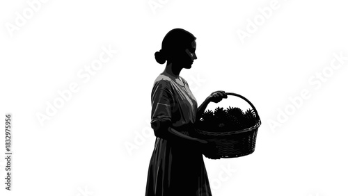 Woman with a basket of pine cones in silhouette against a white background  