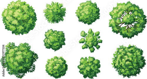 Comprehensive Realistic Top View Tree and Bush Icons Vector Set for Landscape Architecture: Detailed Overhead Green Plants for Floor Plans and Mapping.