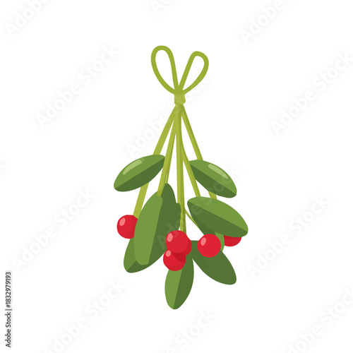 A_Simple_flat_2D_icon_hanging_mistletoe_isolated_on_a_white, Christmas set collection