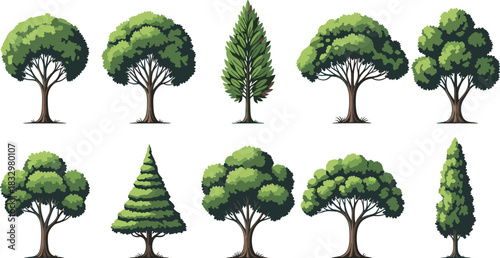 Large vector collection of realistic deciduous trees, cypress, and other coniferous varieties, perfect for detailed landscape architectural planning and natural scene creation.