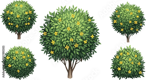 Vector collection of various cartoon weeping willow and classic broadleaf trees, excellent for storybook illustrations, game backgrounds, and whimsical park scenery design.