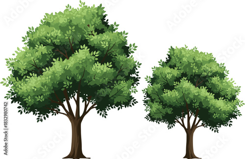 Realistic collection of green round flowering shrubs and small trees with bright yellow blooms, essential for decorative garden design and park scenery vector illustration.