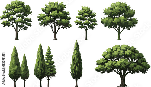 Top view of realistic silver dollar eucalyptus branches arranged in a circular wreath, ideal for flat lay vector designs, logos, and minimalist botanical backgrounds.