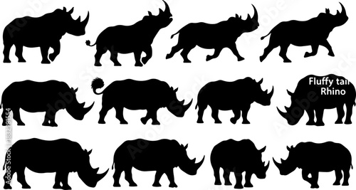 Rhino Silhouette Vector Collection