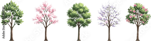 Extensive vector collection of realistic deciduous trees, Italian cypress, and various conical trees, perfect for detailed landscape architecture planning and environment rendering.