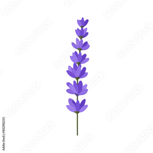 Simple_flat_2D_icon_lavender_flower_isolated_on_a_white