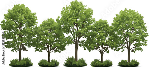 Realistic green deciduous trees and dense bushes set, perfect for architectural, landscape design, or park vegetation vector illustration.