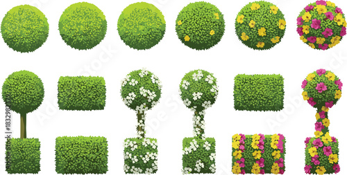 Detailed topiary garden set, featuring sphere, cube, and flower shapes in vector illustration, perfect for landscape architecture and formal park design.