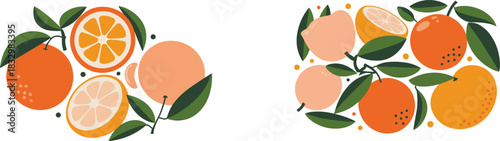 Stylized Citrus Fruit Arrangement Vector Set, Including Oranges, Grapefruit, and Foliage, Ideal for Juice Packaging, Health Food Promotion, Summer Design Elements, and Natural Banners.