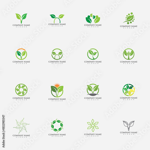 Logos of green Tree leaf ecology