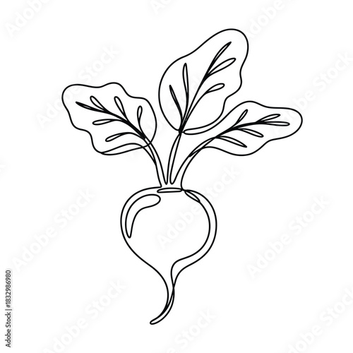 Simple line drawing of a radish with green leaves