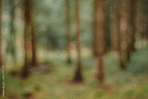 Fotografía Blurred forest background with soft focus and desaturated colors