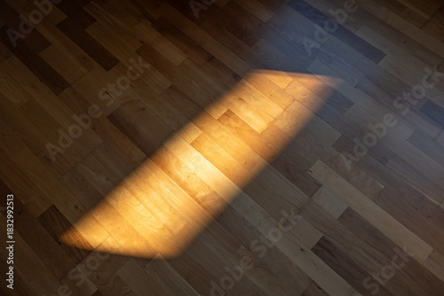 Принти на полотні Sunlight spot or beam on a parquet, or hardwood tile floor inside apartment room