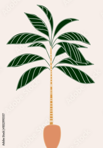 Illustration of a tall palm tree with a textured trunk and green fronds on beige.