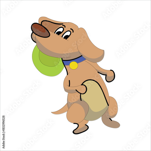 Cute brown dog holding a green frisbee disc in its mouth. Concept of play