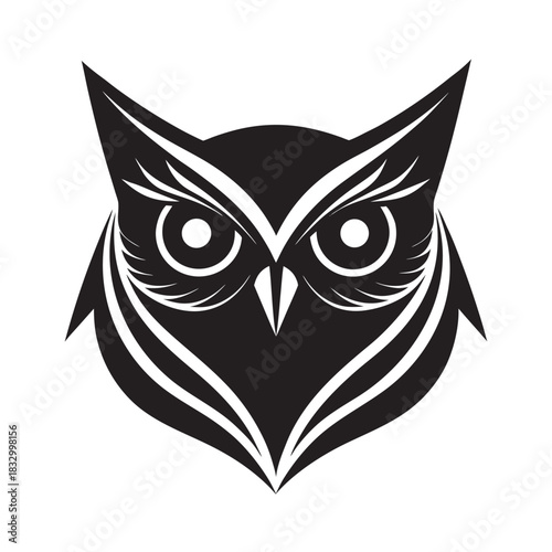 Twin Owl Eye Symmetry Design Concept
