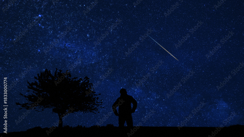 Fototapeta premium Silhouette of a man and countryside under the Milky Way stars.