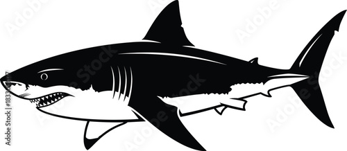 Detailed black and white great white shark vector illustration, aggressive marine predator silhouette design for ocean wildlife artwork and educational graphics