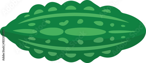 Bitter melon vector illustration of a green elongated gourd with textured skin on a transparent background