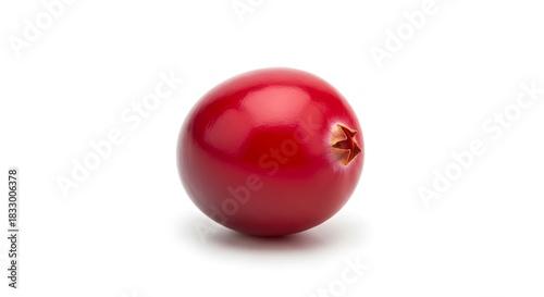 Free Download Single Bright Red Cranberry Isolated on White Background Close Up Macro Shot for Food Photography and Healthy Eating and Ingredient Concepts Representing Antioxidants and Vitamin Rich Diet - GFXLoad
