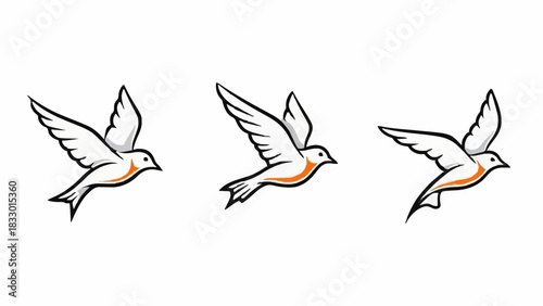Dynamic vector illustrations of birds in various stages of flight, embodying concepts of freedom, motion, and graceful movement for design projects