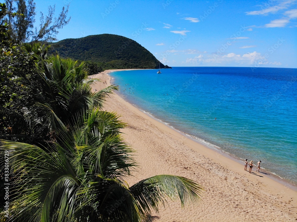 Fototapeta premium Guadeloupe sunny beach drone view. Caribbean vacation landscape. Grande Anse sandy beach on Basse-Terre island.