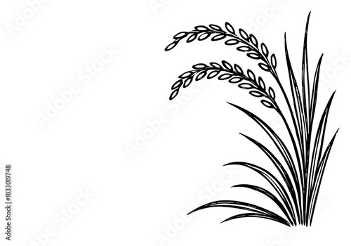 Rice Plant hand drawn simple sketch vector illustration