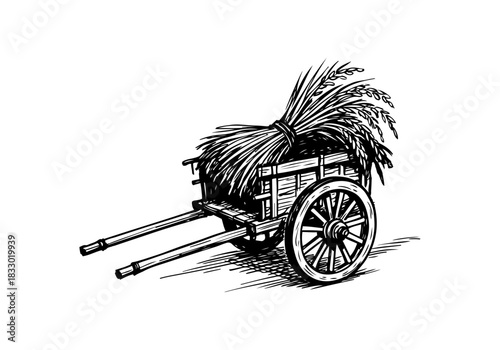 Rice Plant hand drawn simple sketch vector illustration