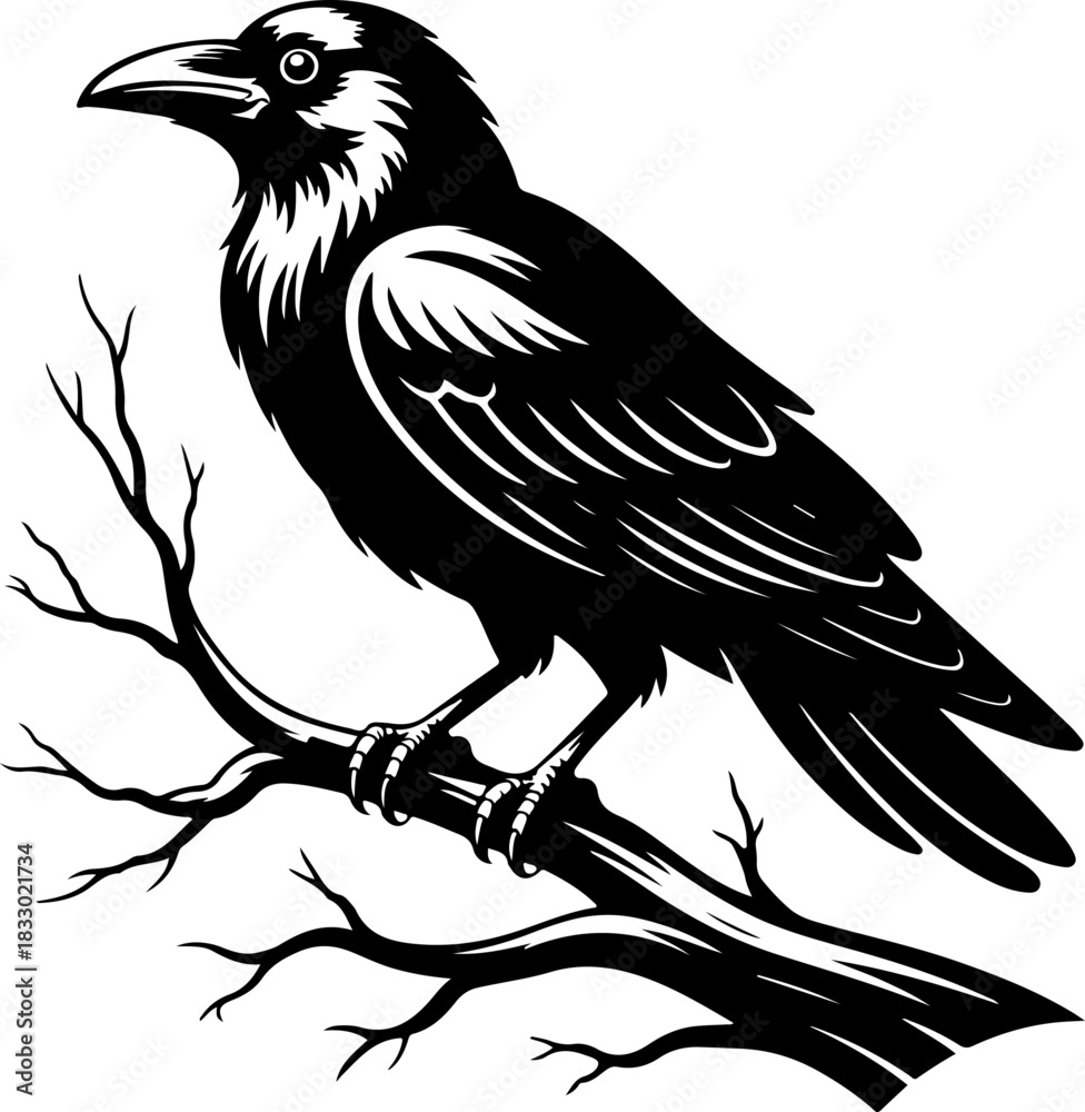 Naklejka premium A raven sitting on a bare tree branch silhouette vector illustration