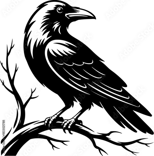 A raven sitting on a bare tree branch silhouette vector illustration