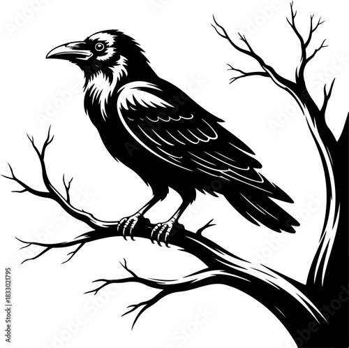 A raven sitting on a bare tree branch silhouette vector illustration