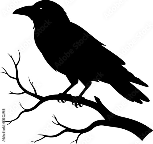 A raven sitting on a bare tree branch silhouette vector illustration