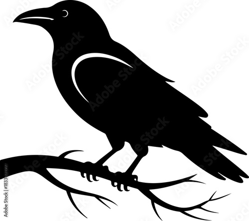 A raven sitting on a bare tree branch silhouette vector illustration