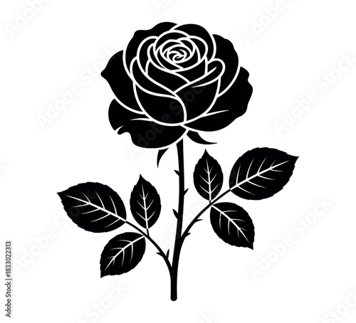 Black and white illustration of a rose with leaves and thorns on white background
