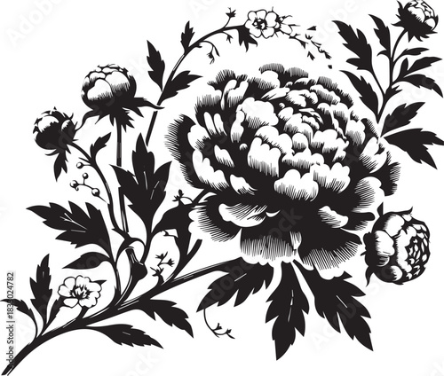 Set of peony flowers and buds on a branch, silhouette vector illustration.
