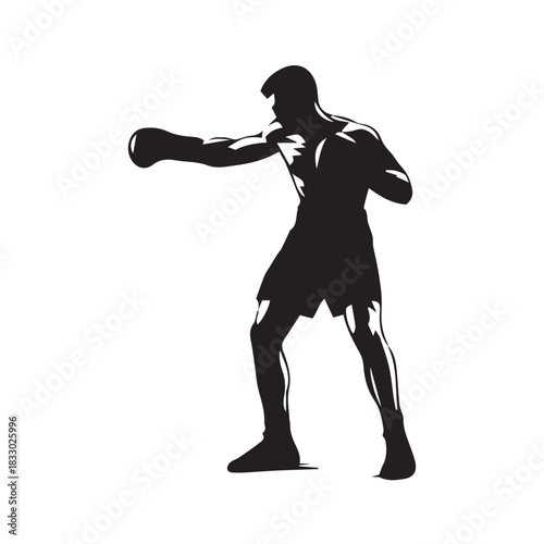 silhouette of a boxer