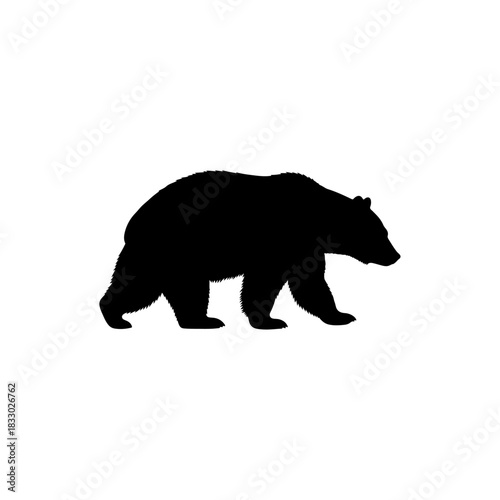 Black bear silhouette isolated on transparent background