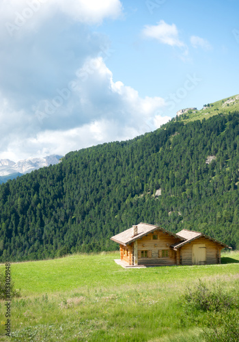Photography Small rustic wooden mountain cabin in green meadow overlooking a spruce forest i