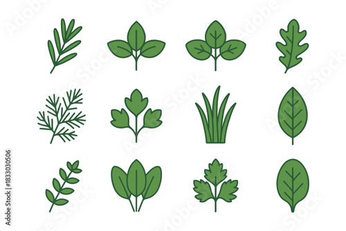 Collection of twelve green herb leaves on white background.