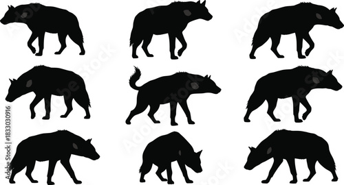 PrintSilhouette of spotted hyena vector illustration set, black African predator collection for nature design, isolated on white background, walking scavenger animal.