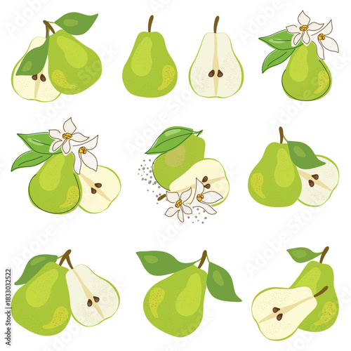 A collection of fresh, green, whole and halved pears with leaves, isolated on a white background. Fruit set. Vegetarian food. Healthy eating.