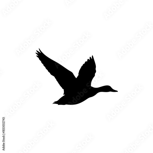 Silhouette of a duck in flight isolated on transparent background