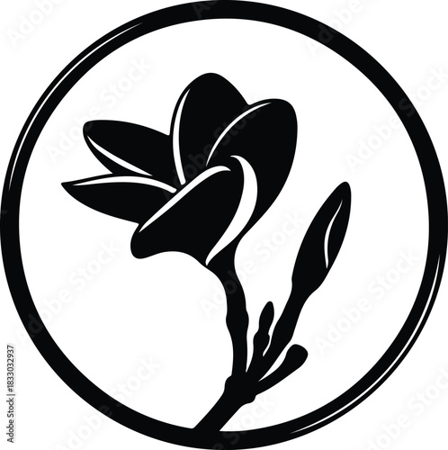 Illustration Black and white frangipani flower in a circle silhouette vector