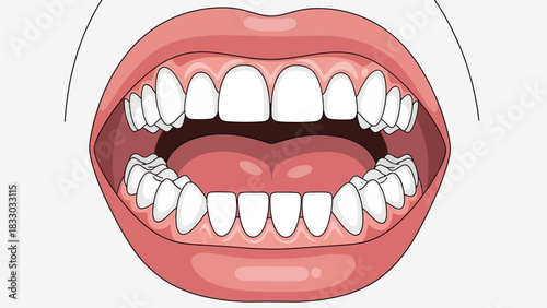 Anatomy of the Mouth: A detailed illustration of the open human mouth, revealing the teeth, tongue, and throat in a clear and educational depiction.