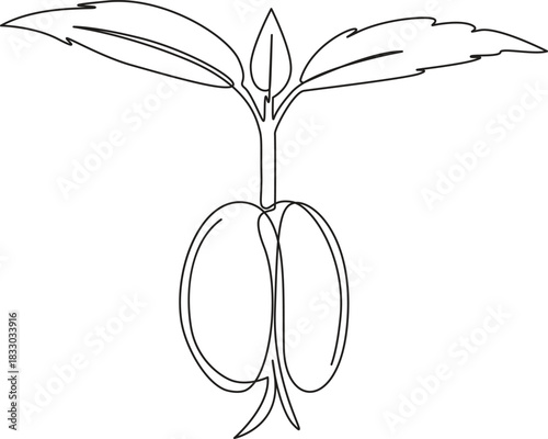 Plant growth Line Art vector illustration,1